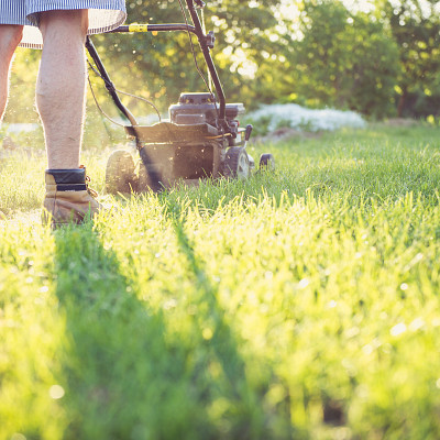 Uw tuin zomerklaar in vijf stappen