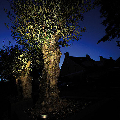 Tips voor de verlichting in de tuin