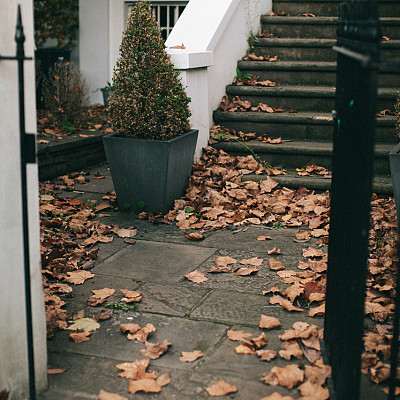 Zo bescherm jij jouw planten tijdens winter