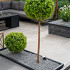 Natuursteen Basalt vijverranden 3x15x100 cm Geslepen**