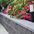 Hardsteen vijverranden 3x15x100 cm**