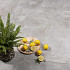 GeoCeramica® 60x60x4 Grafitto Grigio* UITLOPEND