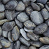 Glitter Stone Black Premium 10-30 mm *** | zak 20 kg