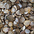 Schelpen 3-20 mm 13,5 kg ***
