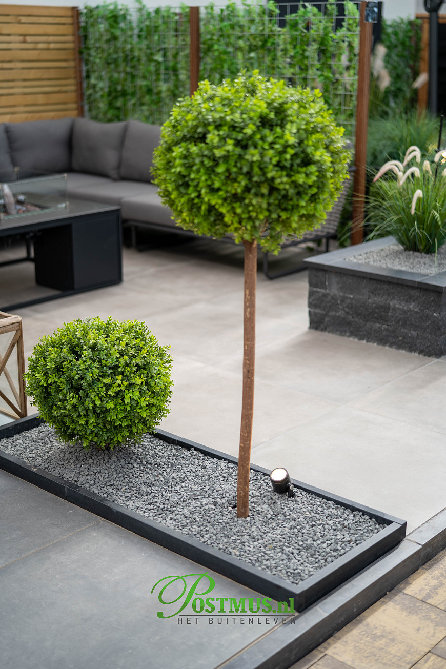Natuursteen Basalt vijverranden 3x15x100 cm Geslepen**